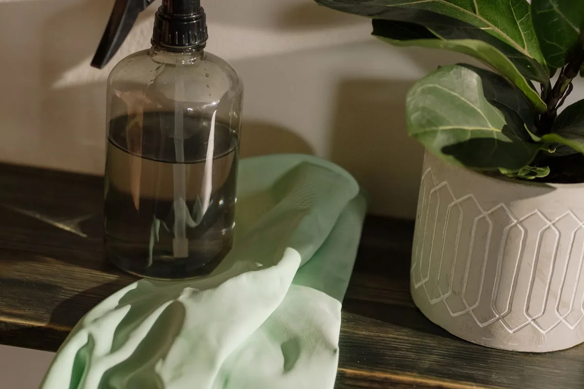 Infectious Disease Disinfection in Casa View Heights, Dallas, TX